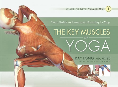 Book Cover The Key Muscles of Yoga: Scientific Keys Volume I