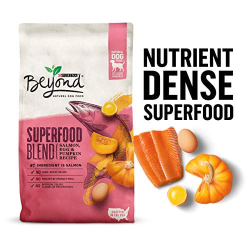 Book Cover Purina Beyond Natural Dry Dog Food, Superfood Blend Salmon, Egg & Pumpkin Recipe - 3.7 lb. Bag