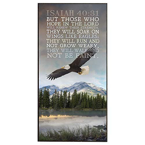 Book Cover P. Graham Dunn Soar on Wings Like Eagles 16 x 8 Wood Wall Art Sign Plaque