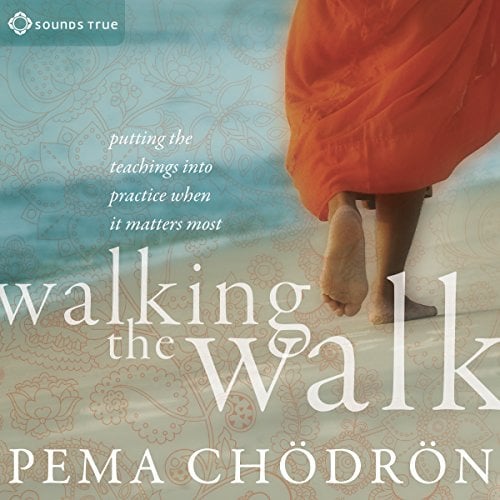Book Cover Walking the Walk: Putting the Teachings into Practice When It Matters Most
