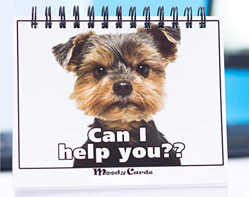 Book Cover Office Gift for Dog Lovers - Moodycards! Make Everyone Laugh with These Adorable and Hilarious Dog Memes - Let The Dogs Tell Everyone How You Feel! A Terrific Office Gift! 25 Different Moods