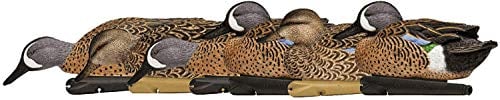 Book Cover Avian-X Topflight Blue-Winged Teal Durable Ultra Realistic Floating Hunting Duck Decoys, Pack of 6, AVX8080