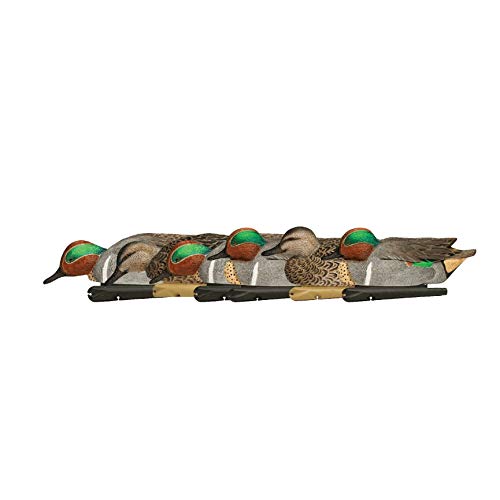 Book Cover Avian-X Topflight Green-Winged Teal Durable Ultra Realistic Floating Hunting Duck Decoys, Pack of 6, AVX8081