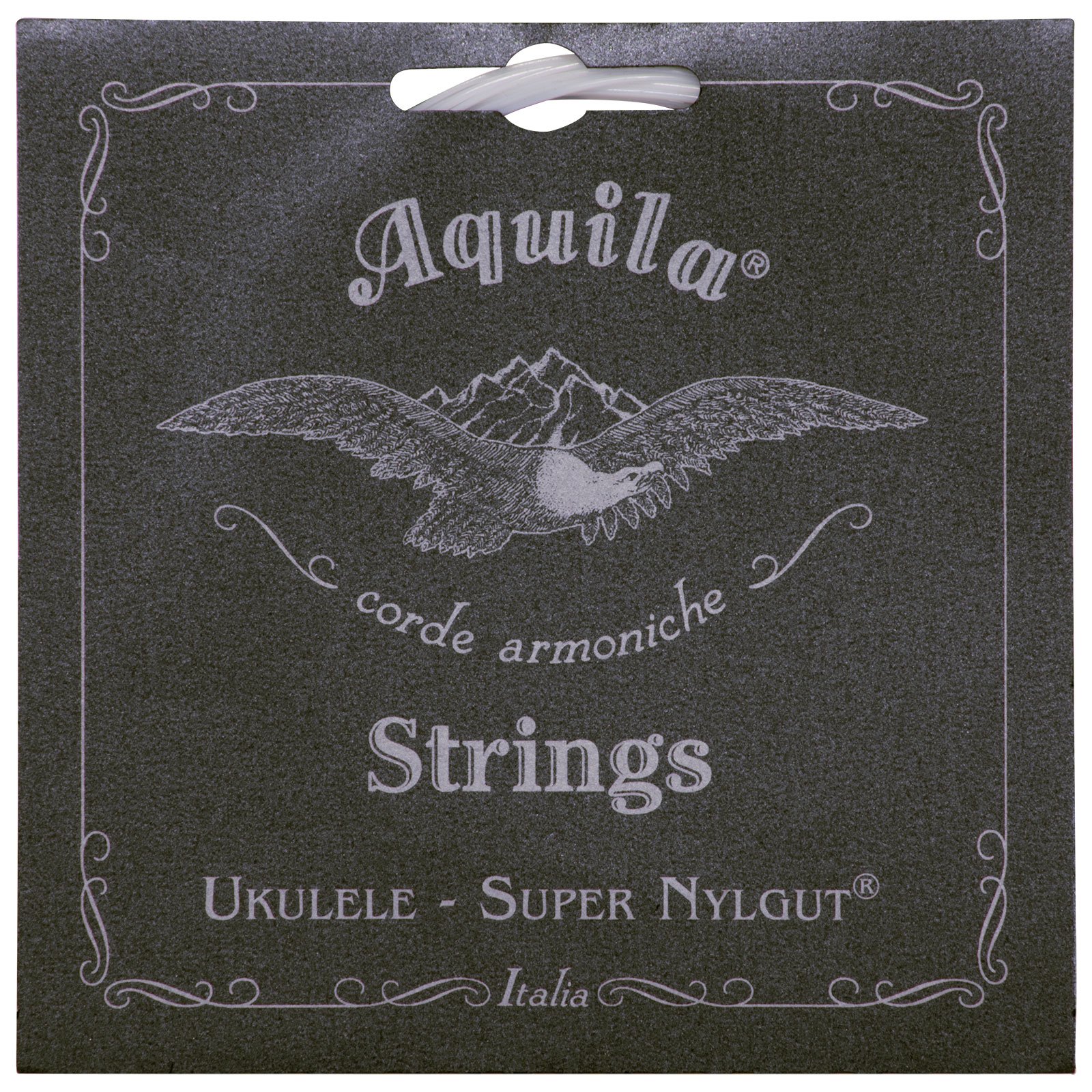 Book Cover Aquila Super Nylgut AQ-107 Tenor Ukulele Strings - Low G - 1 Set of 4
