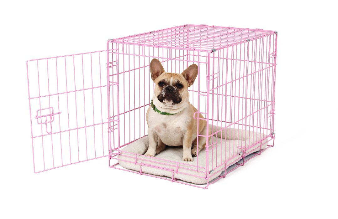 Book Cover Carlson Pink Secure and Compact Single Door Metal Dog Crate, Small