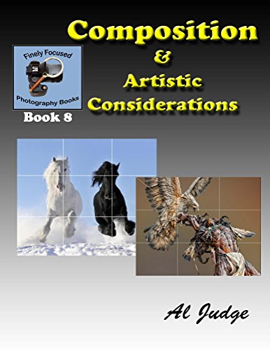 Book Cover Composition & Artistic Considerations (Finely Focused Photography Books Book 8)