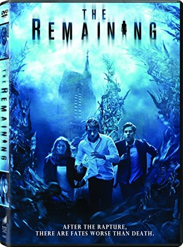 Book Cover Remaining [DVD] [Region 1] [US Import] [NTSC]