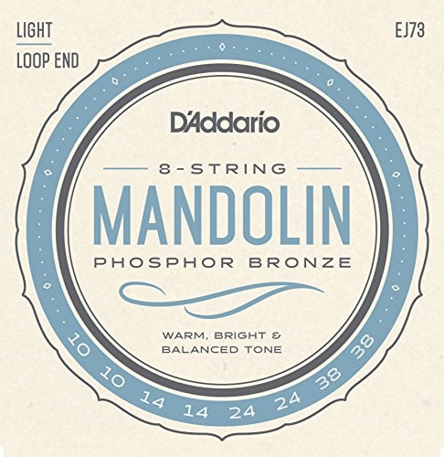 Book Cover D'Addario EJ73 Phosphor Bronze Mandolin Strings, Light, 10-38