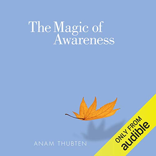 Book Cover The Magic of Awareness