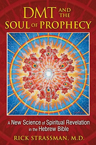 Book Cover DMT and the Soul of Prophecy: A New Science of Spiritual Revelation in the Hebrew Bible