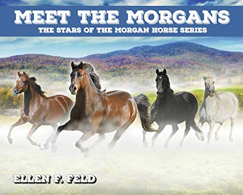 Book Cover Meet The Morgans: The Stars of the Morgan Horse Series