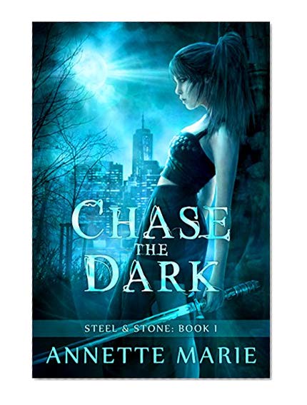 Book Cover Chase the Dark (Steel & Stone Book 1)