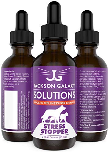 Book Cover Jackson Galaxy: Stress Stopper (2 oz.) - Pet Solution - Promotes Sense of Safety During Short-Term Stress - Can Keep Pet Calm and Grounded - All-Natural Formula - Reiki Energy