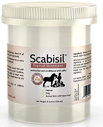 Book Cover Scabisil 10% Sulfur Ointment for Human Mites, Insect Bites, Acne, Itchy Skin, Fungus, Tinea Versicolor - 8 oz Jumbo Tub