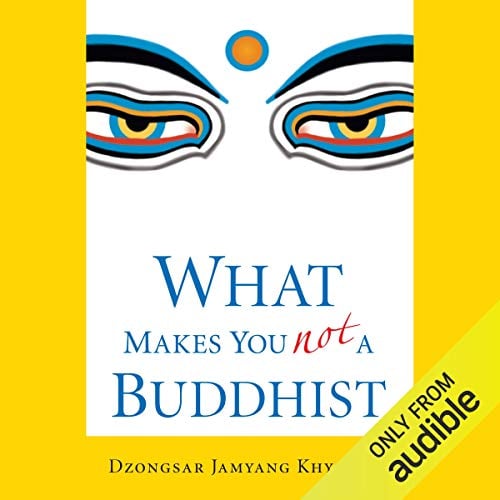 Book Cover What Makes You Not a Buddhist