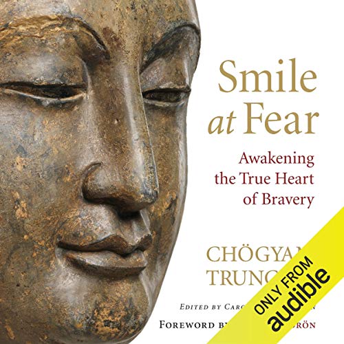 Book Cover Smile at Fear: Awakening the True Heart of Bravery
