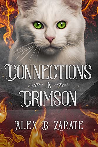Book Cover Connections In Crimson