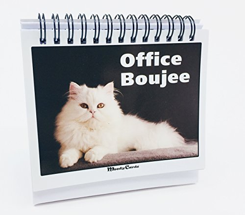 Book Cover Office Gift For Cat Lovers - Moodycards! Make Everyone Laugh with These Adorable and Hilarious Cat memes - Let The Kittys Tell Everyone How You Feel! A Terrific Office Gift! 25 Different Moods