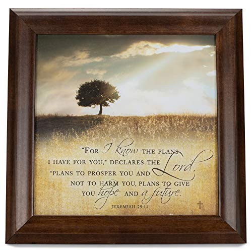 Book Cover For I know the Plans I Have For You 12 x 12 Woodgrain Framed Wall Art Plaque