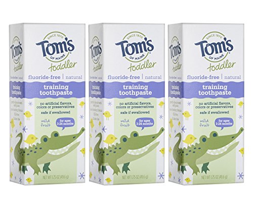 Book Cover Tom's of Maine Toddlers Fluoride-Free Natural Toothpaste in Gel, Mild Fruit, 1.75 Fl Oz, Pack of 3
