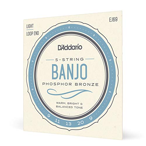 Book Cover D'Addario EJ69 Phosphor Bronze 5-String Banjo Strings, Light, 9-20