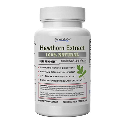 Book Cover Superior Labs — Best Hawthorn Vitamin Supplement NonGMO, Non Synthetic — 300 mg Dosage, 120 Vegetable Capsules — Powerful Antioxidant — Healthy Digestion — Circulatory & Cardiovascular Health
