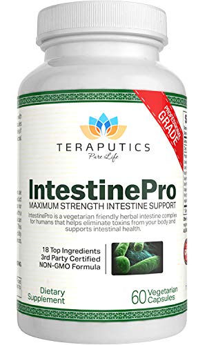Book Cover IntestinePro Intestine Support for Humans with Non-GMO Wormwood, Black Walnut, Echinacea + 15 More Premium Ingredients, 60 Vegetarian Capsules