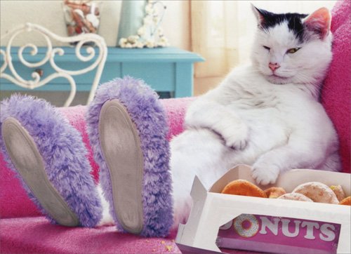 Book Cover Cat Wearing Slippers Funny Just for Fun Card