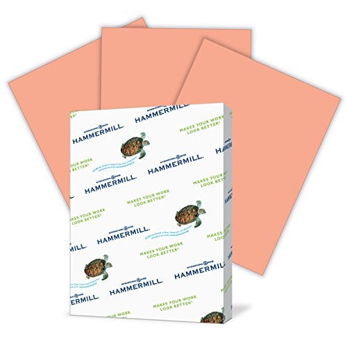 Book Cover Hammermill Colored Paper, Salmon Printer Paper, 24lb, 8.5x11 Paper, Letter Size, 500 Sheets / 1 Ream, Pastel Paper, Colorful Paper (103120R)