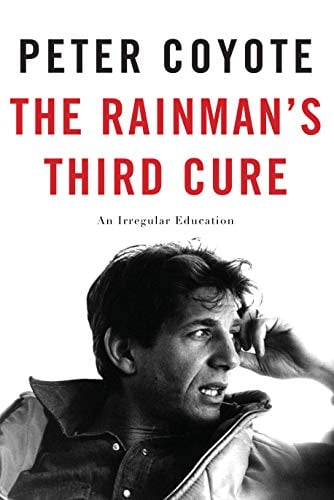 Book Cover The Rainman's Third Cure: An Irregular Education