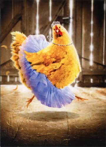 Book Cover Chicken in Tutu Avanti Funny Birthday Card