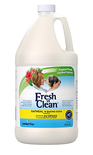 Book Cover PetAg Fresh 'n Clean Oatmeal 'n Baking Soda Dog Shampoo - Tropical Fresh Scent - Strengthens, Repairs, & Protects Your Dog's Coat - 64 fl oz
