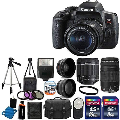 Book Cover Canon EOS Rebel T6i 24.2MP Digital SLR Camera Bundle with Canon EF-S 18-55mm f/3.5-5.6 IS STM [Image Stabilizer] Zoom Lens & EF 75-300mm f/4-5.6 III Telephoto Zoom Lens and Accessories (18 Items)