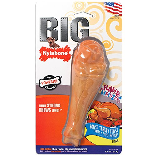 Book Cover Nylabone Big Chew Durable Toy Bone for Large Breeds