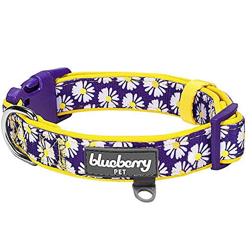 Book Cover Blueberry Pet Soft & Comfy Loving Daisy Prints Ultimate Adjustable Padded Dog Collar, Small, Neck 30cm-40cm, Adjustable Collars for Dogs