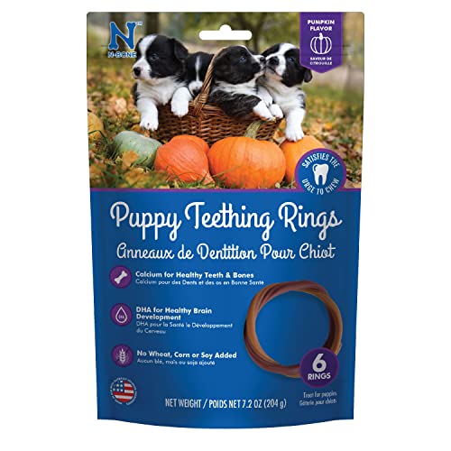 Book Cover N-Bone Puppy Teething Ring Pumpkin Flavor 7.2 Oz/(6 Count)