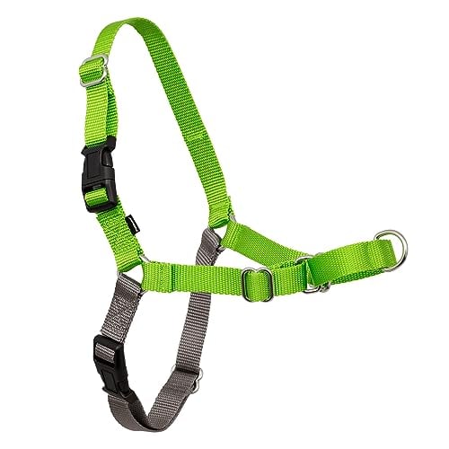 Book Cover PetSafe Easy Walk No-Pull Dog Harness - The Ultimate Harness to Help Stop Pulling - Take Control & Teach Better Leash Manners - Helps Prevent Pets Pulling on Walks - Medium/Large, Apple Green/Gray
