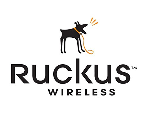 Book Cover Ruckus Wireless Secure MOUNTING BRKT for R710 MOUNTS to Wall/Ceiling/Pole - 902-0120-0000