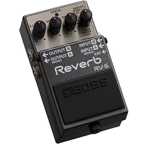 Book Cover BOSS RV-6 Reverb Guitar Pedal, Eight Sound Modules, Top-Level Reverb TOnes with Simple Controls