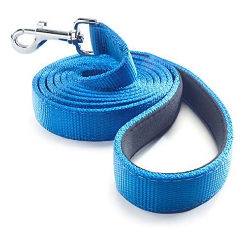 Book Cover Dog Leash for Medium, Large and Small Dogs - 6 Foot Dog Leashes for Training and Daily Walks - Durable Sizes in Lightweight and Heavy Duty for Small and Large Breeds (2-Layer, Blue)