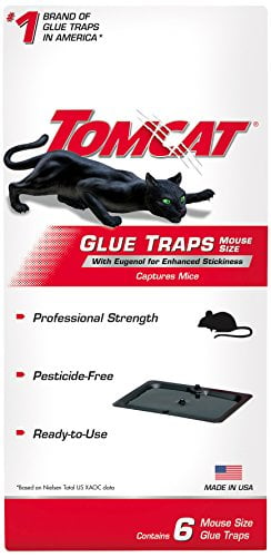 Book Cover Tomcat Glue Traps Mouse Size with Eugenol for Enhanced Stickiness, Contains 6 Mouse Size Glue Traps - Captures Mice and Other Household Pests - Professional Strength, Pesticide-Free and Ready-to-Use