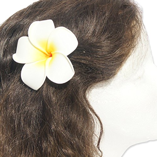 Book Cover DreamLily Women's Fashion 3 Pcs Hawaiian White Plumeria Flower Foam Hair Clip Balaclavas for Beach