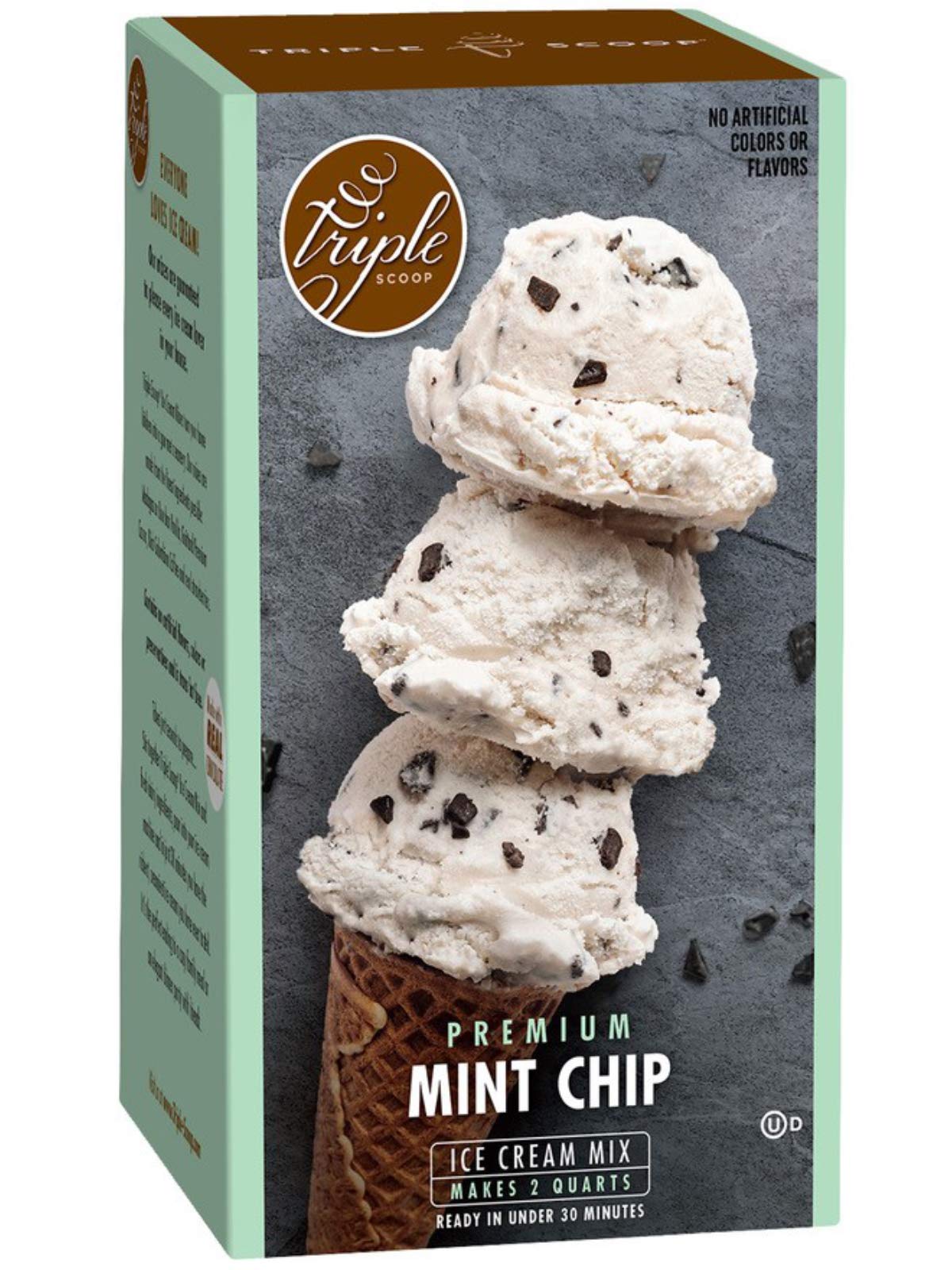 Book Cover Premium Mint Chocolate Chip Ice Cream Starter Mix for ice cream maker. Simple, easy, delicious. From gourmet mix to maker in 5 minutes. Makes 2 creamy quarts. Made in USA. (1/14.8 oz box) Mint Chocolate Chip 1 - Box