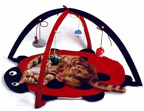 Book Cover Petty Love House Cat Activity Center with Hanging Toy Balls, Mice More - Helps Cats Get Exercise Stay Active Best Cat Toys on Amazon