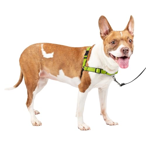 Book Cover PetSafe Easy Walk Deluxe Dog Harness, No Pull Dog Harness – Perfect for Leash & Harness Training – Stops Pets from Pulling and Choking on Walks – Medium, Apple
