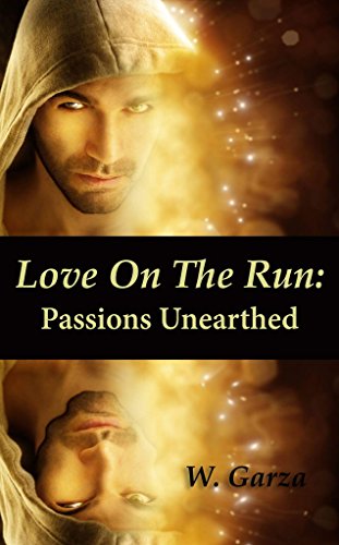 Book Cover Love on the Run - Passions Unearthed: A LGBT Romance Part 2/3