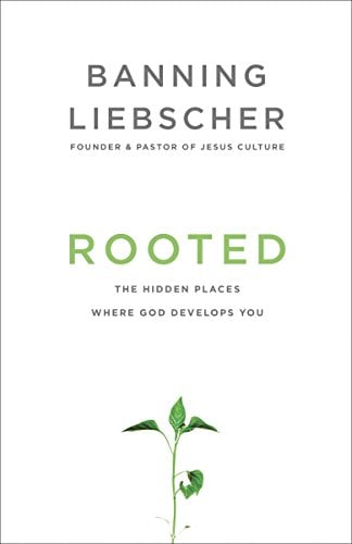 Book Cover Rooted: The Hidden Places Where God Develops You