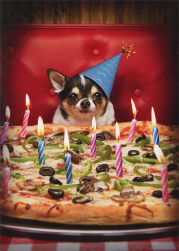 Book Cover Dog with Birthday Pizza - Avanti Stand Out Pop Up Funny Birthday Card