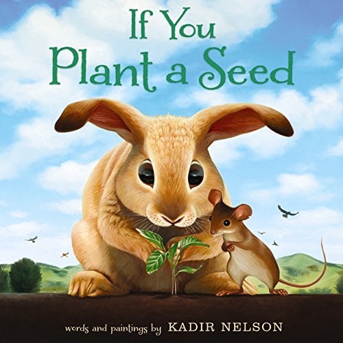Book Cover If You Plant a Seed: An Easter And Springtime Book For Kids