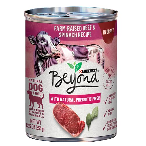 Book Cover Purina Beyond Wet Natural Dog Food With Gravy, Texas Beef & Spinach Recipe - (12) 12.5 oz. Cans